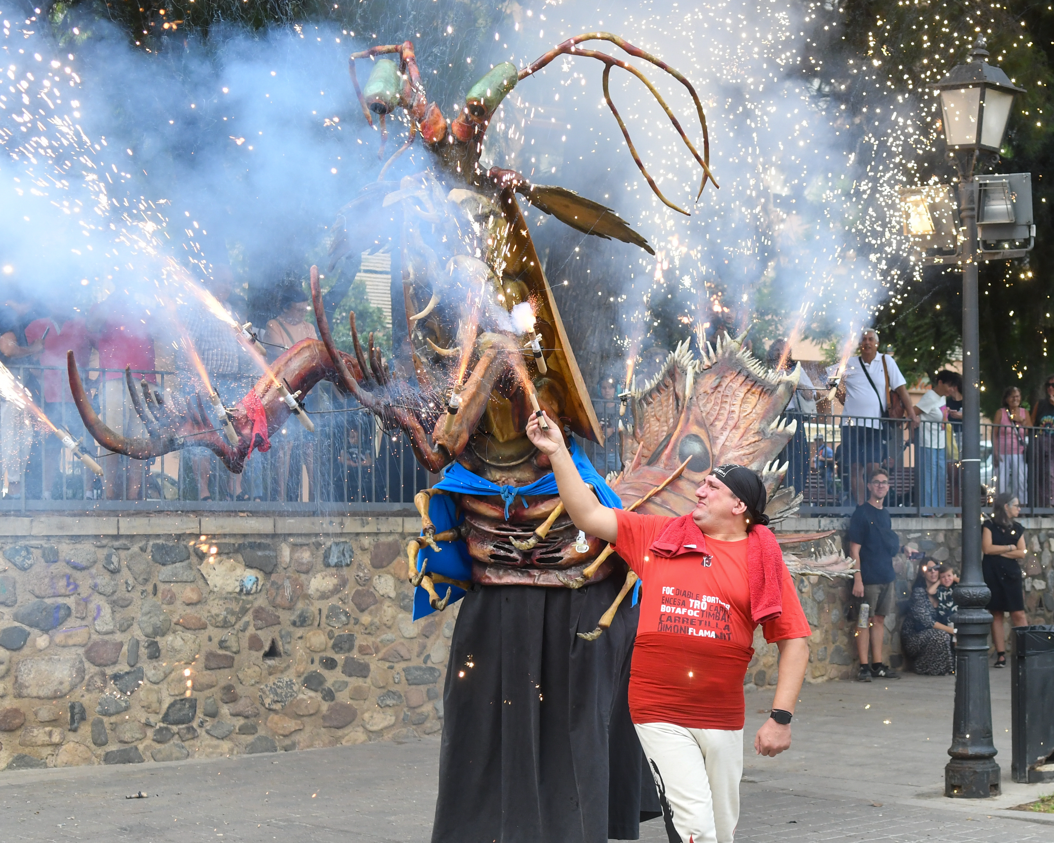 DSC_4719.jpg