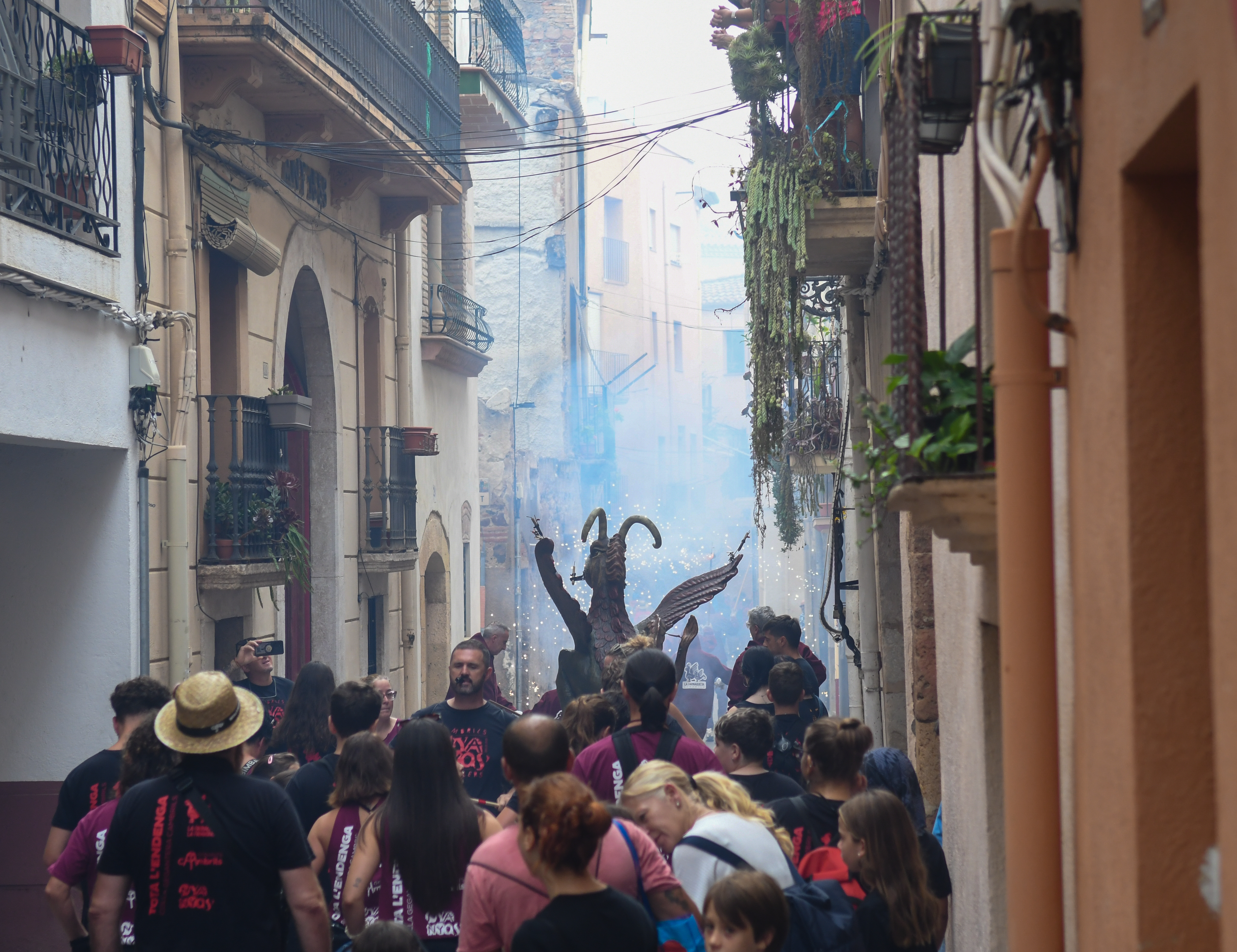 DSC_4915.jpg