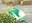 linia_pedagogica_12_00.jpg