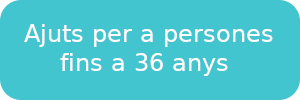 subvencio_lloger_fins_36_anys.png