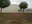 Galeria de Tir