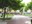 Rotonda