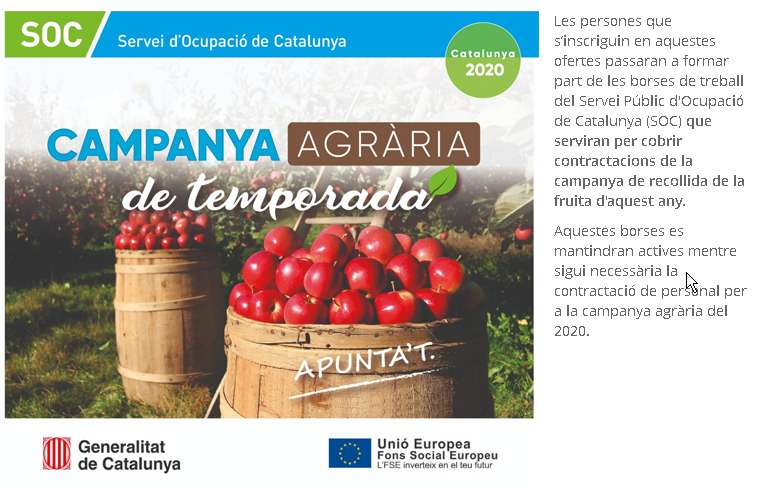 "2020-04-14 08_55_07-Campanya agraria de la fruita 2020_ inscripcio a les borses de treball. Servei P.png"