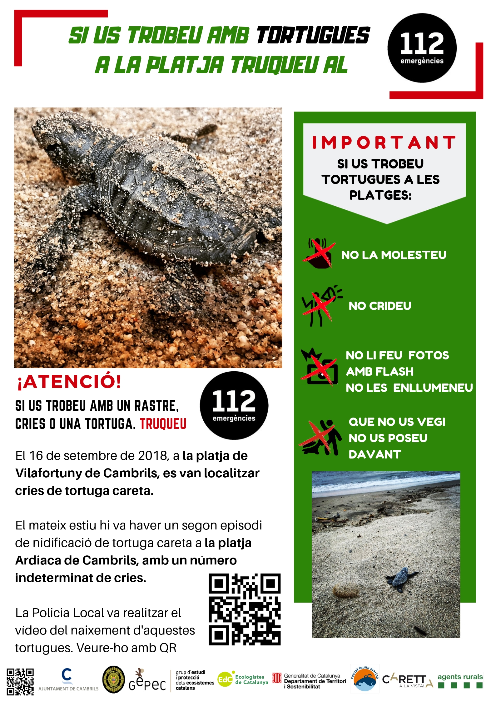 2021_Flyer_TORTUGUES_Ajuntament_Cat.jpg