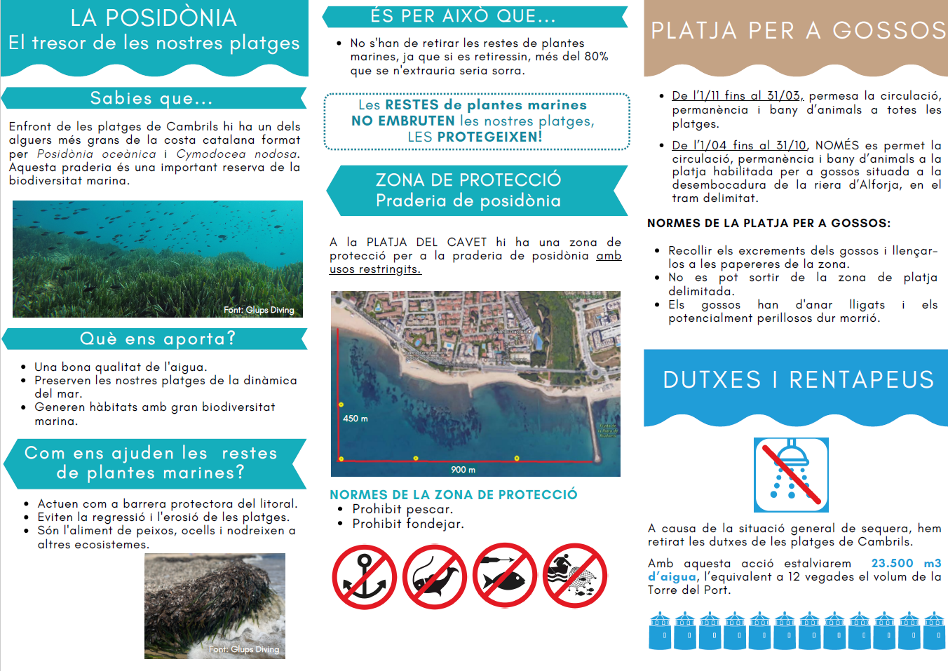 Infografia 2.png