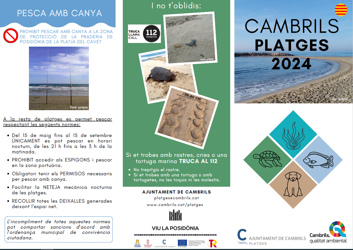 Infografia-.png