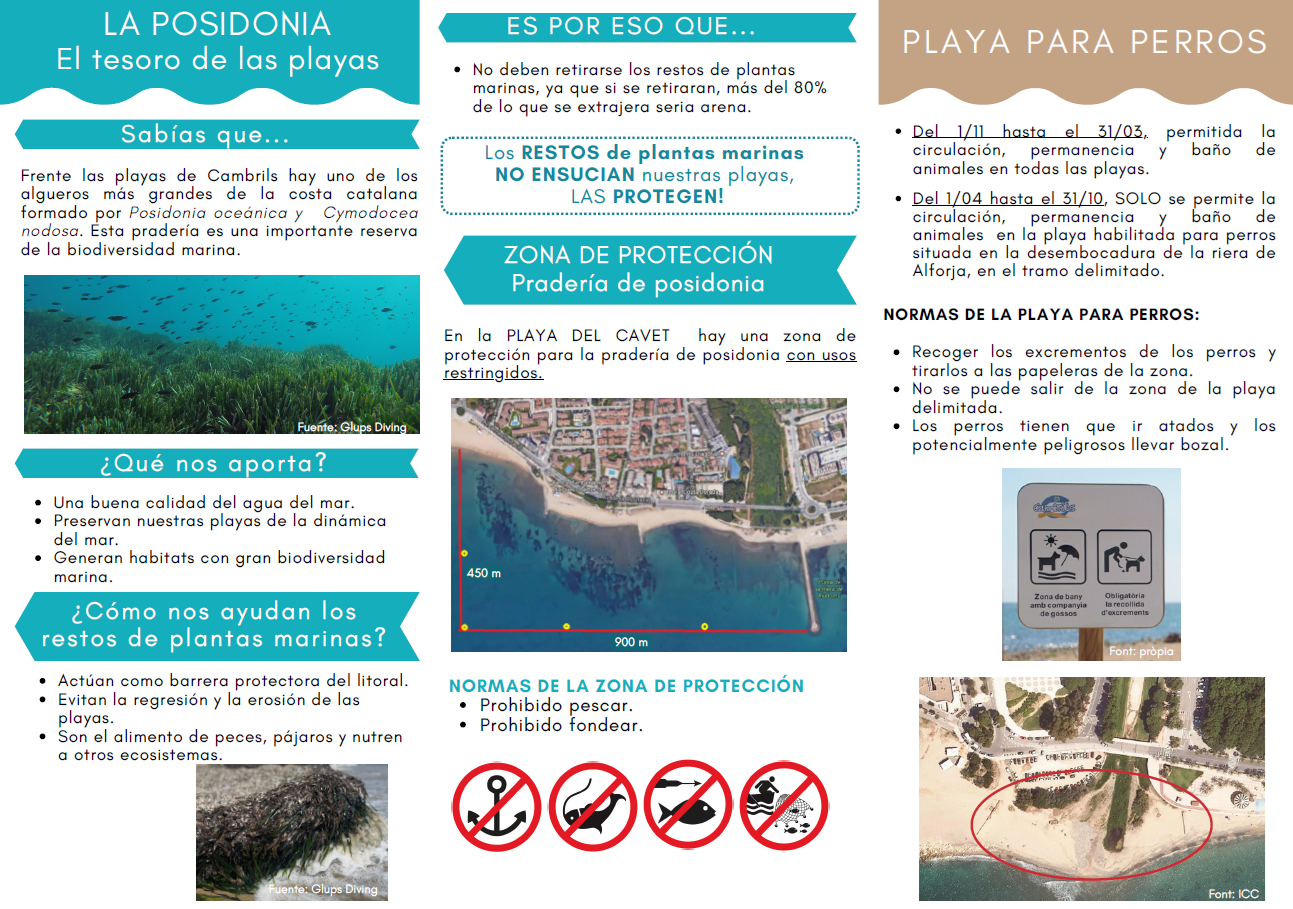 cartell temporada 2025 2.png