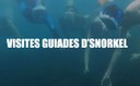 Visites guiades d'snorkel
