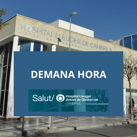 Demana hora.